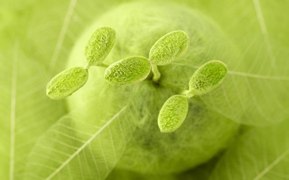 怎么弄监控休眠