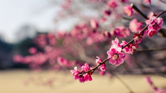 at noon同义词
