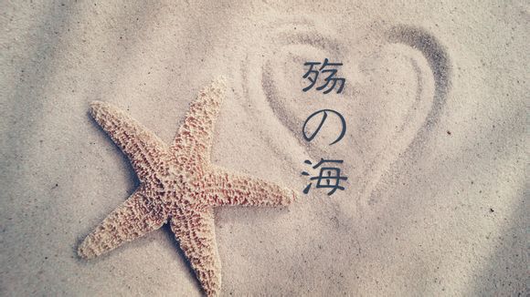 believe的用法及短语