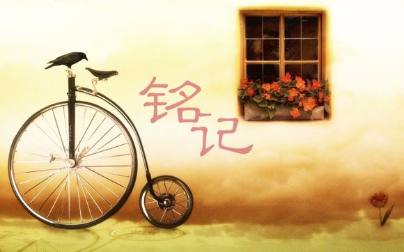 成都哪里电脑卖的便宜